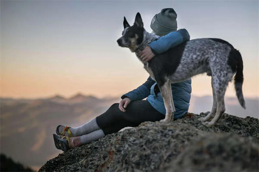 15 Healthiest Dog Breeds That Live the Longest (With Care Tips)