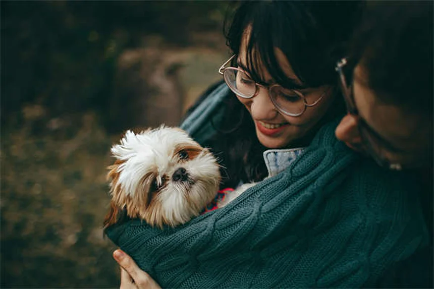 How Do Dogs Sweat? The Surprising Truth About Canine Cooling